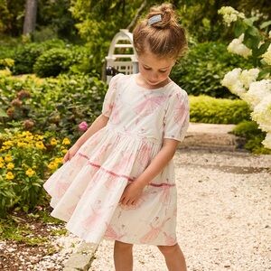 Pink Chicken Girls Meredith Dress Ballerinas Short Puff Sleeves Velvet Printed